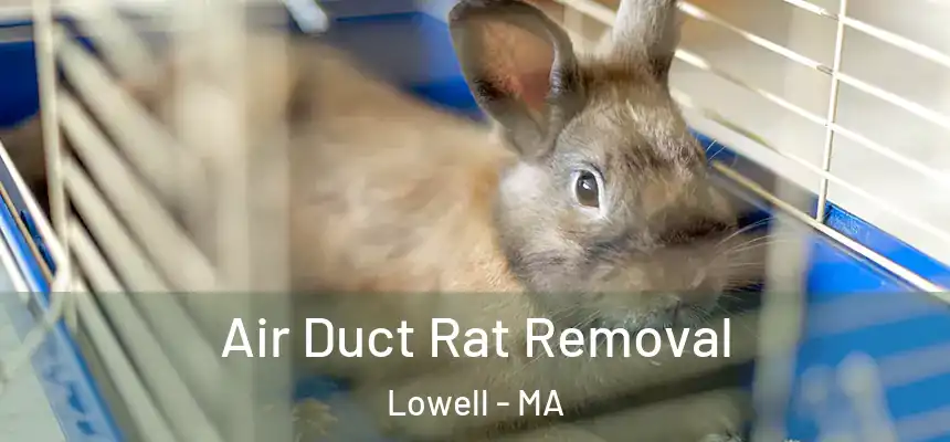  Air Duct Rat Removal Lowell - MA