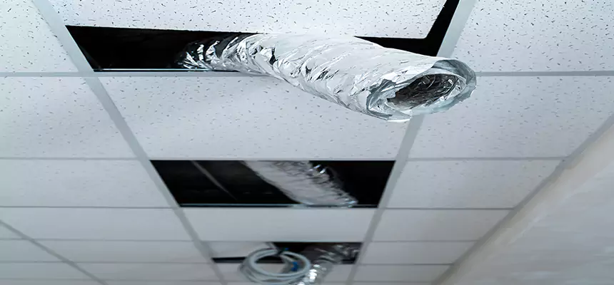 Our Air Duct Pet Hair Removal Services in Lowell, MA