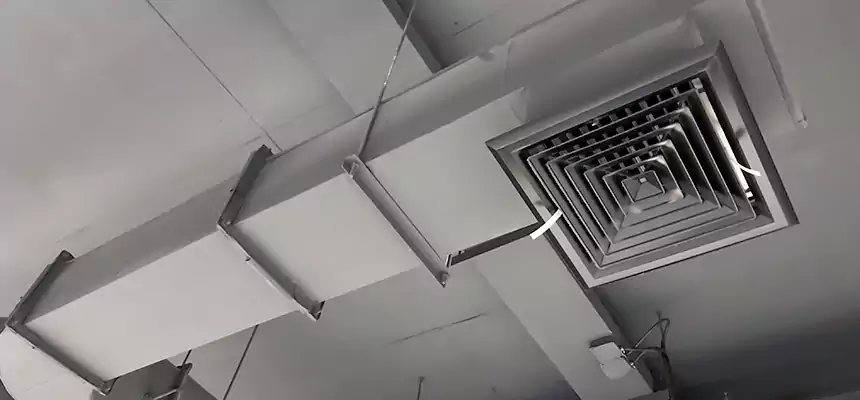 Our Pest Removal From Ducts Services in Lowell, MA