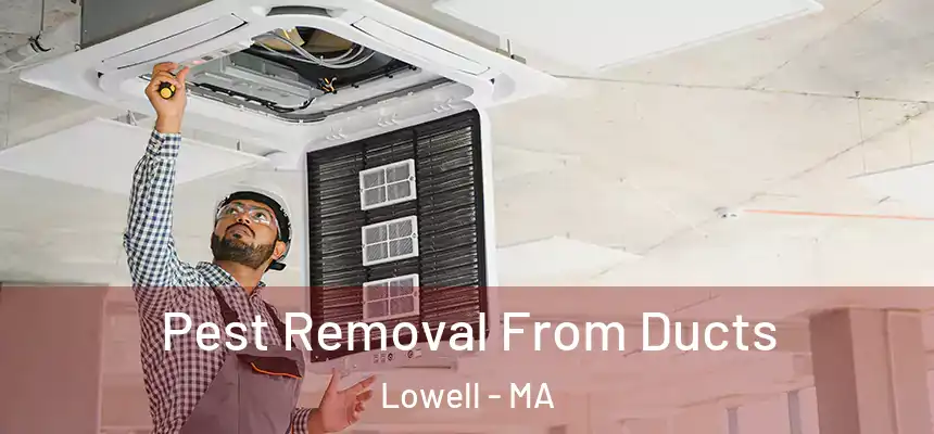  Pest Removal From Ducts Lowell - MA
