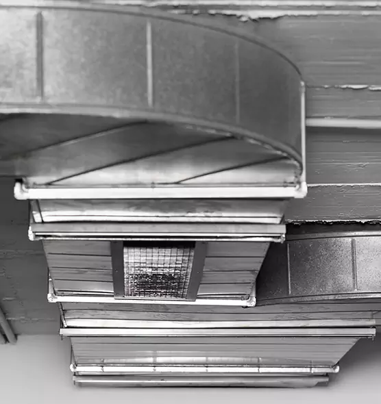 Professional Air Duct Pest Removal in Lowell, MA