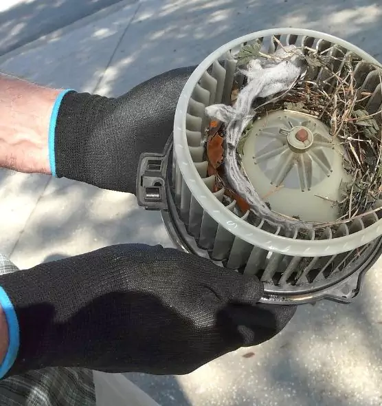 About Air Duct Rat Removal in Lowell, MA