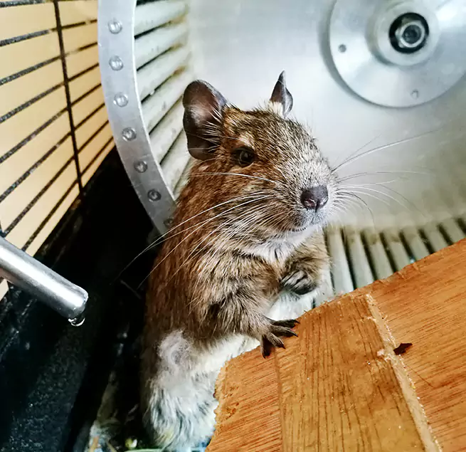 Why Homeowners & Businesses Trust Us Lowell, MA?