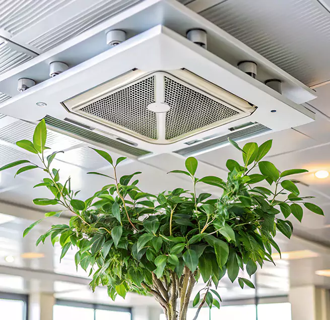 Why Homeowners & Businesses Trust Us in Lowell, MA